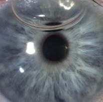 20 Happy 2020 Consultation