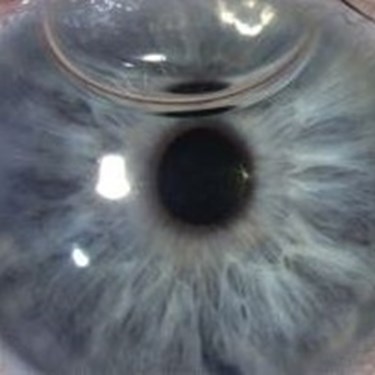 20 Happy 2020 Consultation