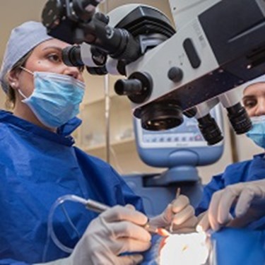 Two surgeons operating